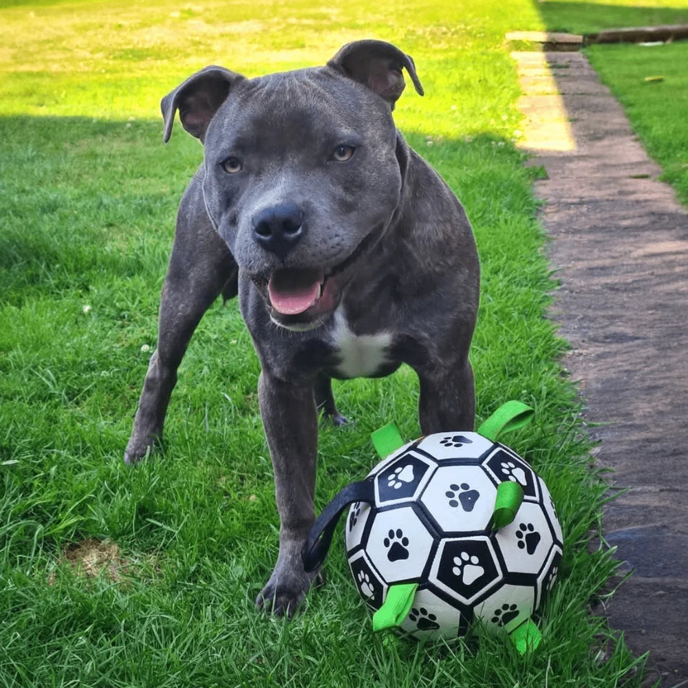 Palla per Cani Ultra Resistente